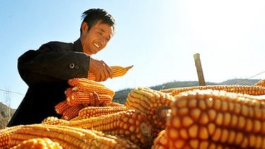 China apuesta a elevar su producción de granos