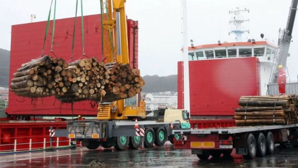 Realizan la primera exportación de madera de eucalipto a China