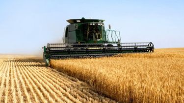 Pese a las inundaciones conservan las expectativas de siembra y producción