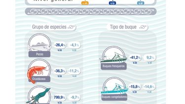 En agosto, el grupo “Peces” registró una caída de 26,4% respecto a igual mes de 2022.