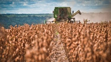 El control sobre la producción de granos y semillas.