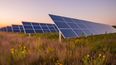 La construcción de los parques solares estará a cargo de BGH Eco Smart.