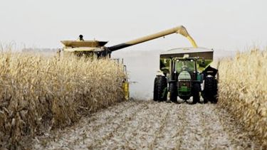 Alerta por los daños que pueden causar las lluvias en la zona núcleo productiva
