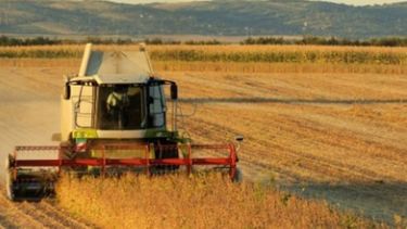 Afirman que el campo impulsará a la economía argentina en 2017