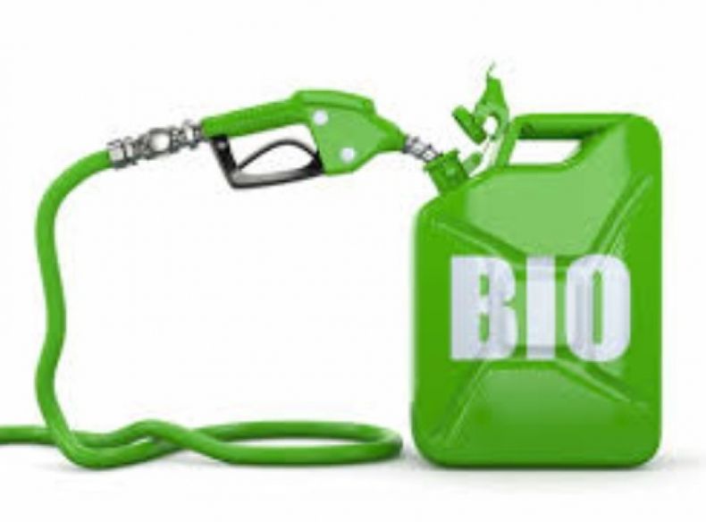 Cálculos privados indican que la producción de biocombustibles alcanzaría un récord