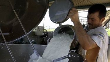 Los problemas de la industria lechera quedaron expuestos en la Rural