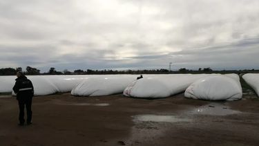 Los operativos permitieron desarticular irregularidades con granos.