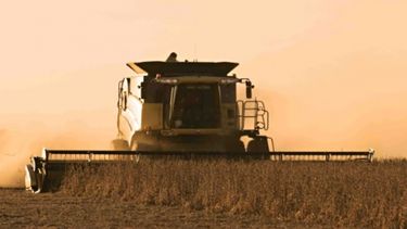 Señalan que se pierden más de U$S mil millones en cosecha por campaña