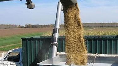 Novedades con la cosecha de soja de esta temporada