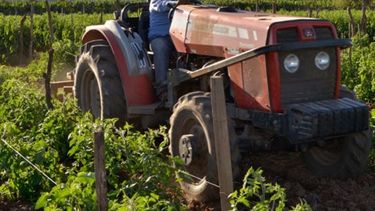 Empresas agrícolas no esperan resultados productivos positivos en 2018