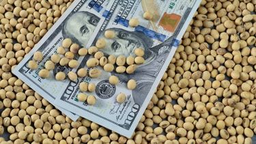 Las divisas derivadas de las ventas de granos al exterior.  