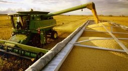 Semana de avance para la actividad agroexportadora