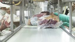 Los envíos del producto al Viejo continente.
