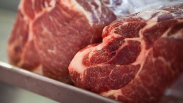 La industria frigorífica deberá informar los precios de la carne