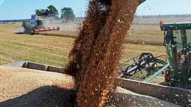 Remarcan que la falta de reservas no se debe a la sequía