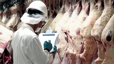 Frigoríficos bonaerenses recibieron el 72% del cupo de exportación de carne argentina a Colombia