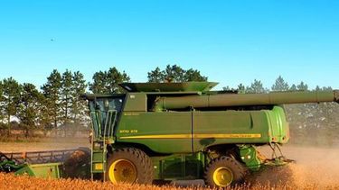 Bajaron las cotizaciones de maíz, soja y trigo