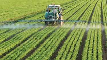 El uso de fertilizantes creció 7 por ciento en lo que va del año