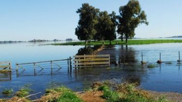 Podrían ampliar el Fondo para emergencia agropecuaria