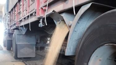 Proyectan una mejora del transporte de la cosecha equivalente a 39%