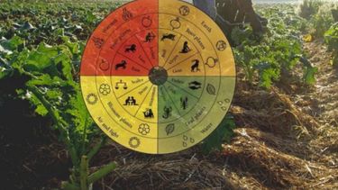 Agricultura biodinámica, un cambio de paradigma