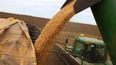 El aporte del campo a la economía nacional.