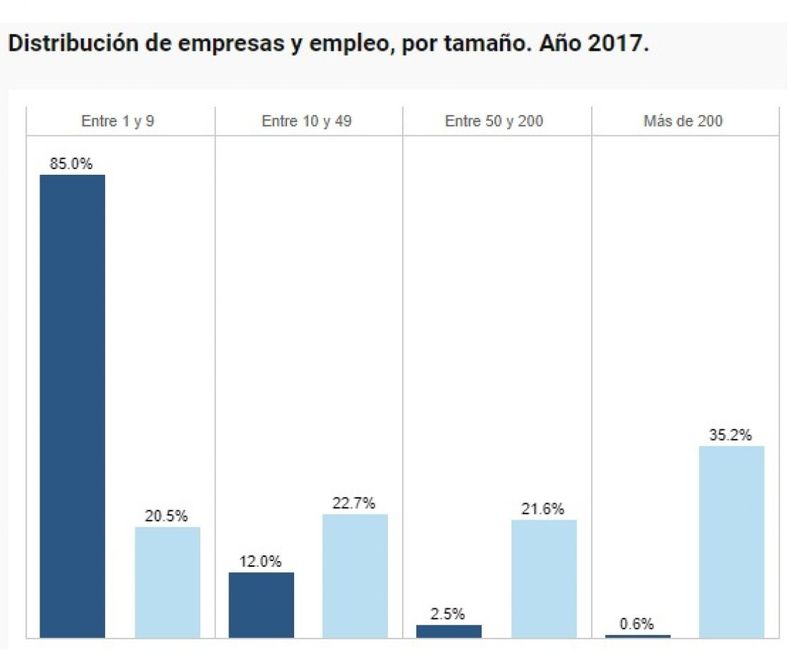 El 99 por ciento de los empleadores son MIPYME
