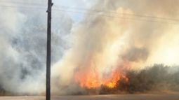 Incendios en Río Negro afectan a un 20% de la zona destinada a la ganadería
