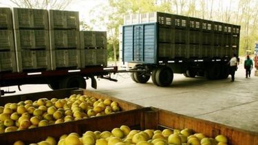 Productos regionales que podrán acceder al dólar agro
