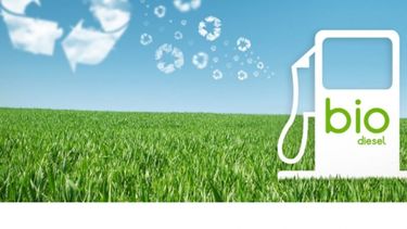 Biodiésel: cuál es el impacto a nivel productor