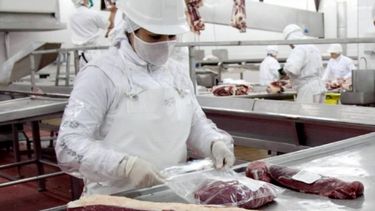 Las exportaciones de carne subieron más de 15% en lo que va del año