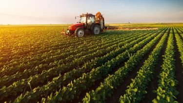 Se necesitan hasta 76 años para recuperar la inversión en un campo