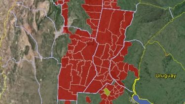 Confeccionan mapa de malezas resistentes a herbicidas en el país