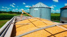 La comercialización de las materias primas del campo.