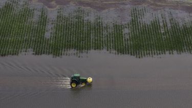 La rentabilidad de los productores de granos cayó un 40 por ciento