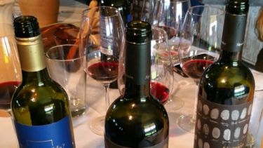 La cosecha actual de uva sirvió para hacer 875 millones de litros de vino