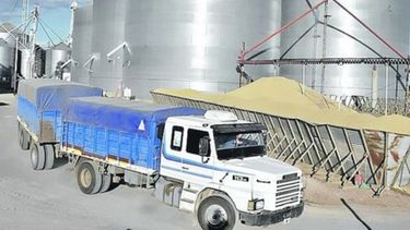 Afirman que la molinería es clave para generar empleo nacional