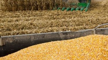 Productores deberán cargar datos en el SISA