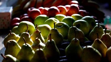 Prolongan beneficios para productores de peras y manzanas en cinco provincias
