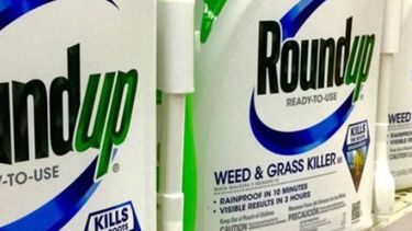 Herbicida de Monsanto volvió a ser considerado cancerígeno