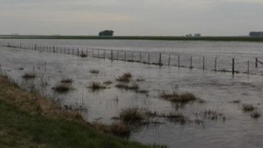 Excesos de agua siguen demorando la siembra de trigo y la cosecha de soja