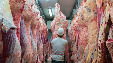 Las condiciones del negocio.