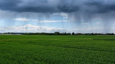 Las lluvias de últimos días permitirán acelerar siembra de soja