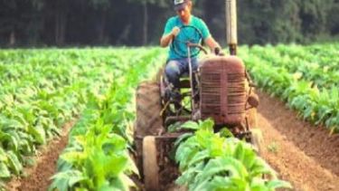 La devaluación del 2018 impactó fuerte en las economías regionales