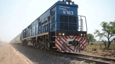 El transporte ferroviario de cargas agrícolas tuvo un récord en 2019