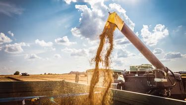 La actividad en los puertos argentinos.