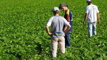 Ingenieros agrónomos: proyecciones de una profesión en crecimiento