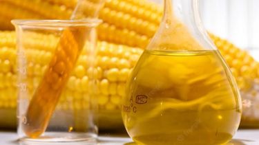 El bioetanol sustituye importaciones de naftas.