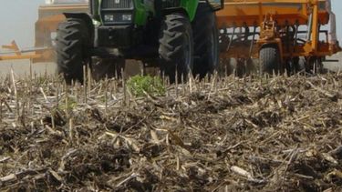 Argentina podría tener su mayor siembra de trigo en casi dos décadas