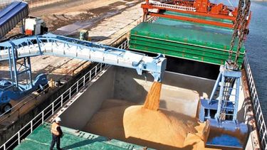 Las divisas que ingresan por las exportaciones de soja son claves para el Gobierno.&nbsp;